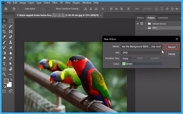 Adobe Photoshop 2025
